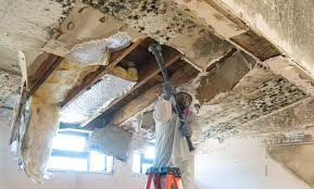 Asbestos and Lead Testing During Mold Inspection in Esparto, CA